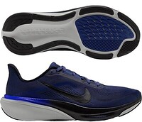 Nike Air Zoom Pegasus 42 Blue / Black / White