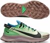 Nike Pegasus Trail 2