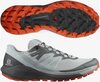 Salomon Sense Ride 4